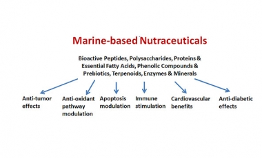 Health benefits of marine nutraceuticals